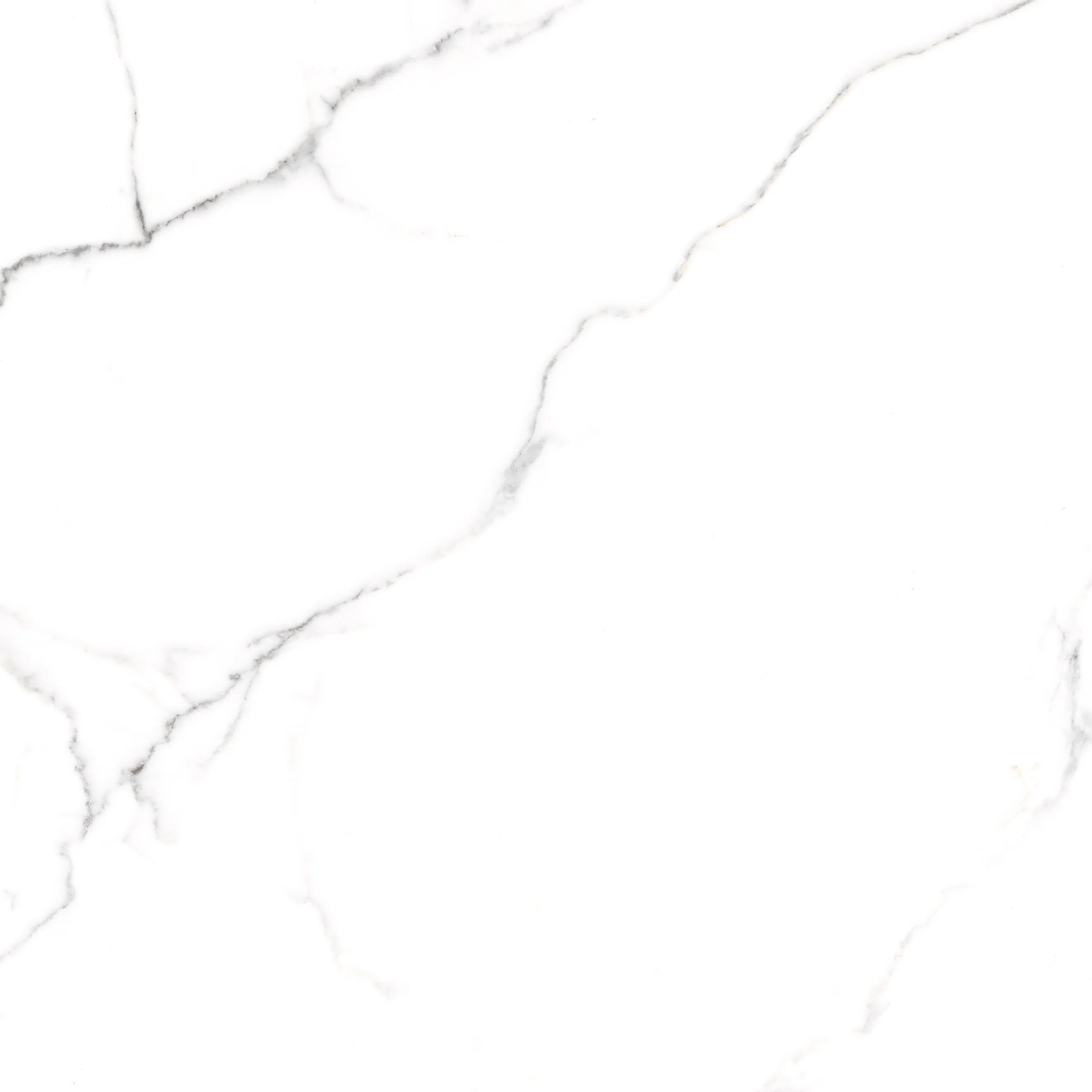 Керамогранит Amigo SKUS DG Bianco Carrara 